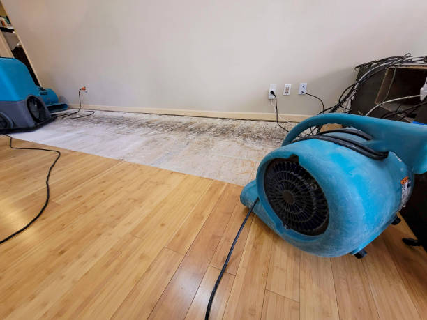 Professional Sewage Cleanup technician working in Oak Hill, WV